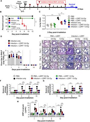 Low-dose radiation therapy suppresses viral pneumonia by enhancing broad-spectrum anti-inflammatory responses via transforming growth factor-β production